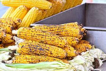 Street vendor selling grilled corn on the cob. Sultanahmet, Istanbul, Turkey. Misir. Corn on the...