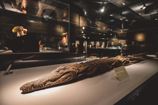 Luxor, Egypt - November 13, 2020:  Ancient Egyptian Exhibits of the  archaeological Mummification Museum in Upper Egypt
