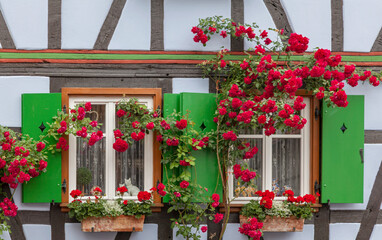 Fototapeta na wymiar Fachwerkhaus, Fenster, Rosen, Blumendekoration