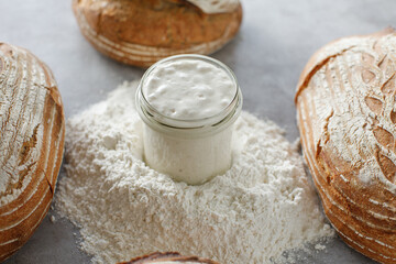 Project with sandwiches and bread on a beautiful background