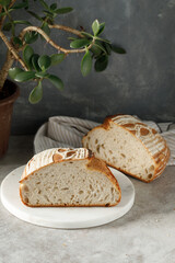Project with sandwiches and bread on a beautiful background