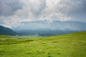 Gulmarg, known as Gulmarag in Kashmiri, is a town, hill station, popular skiing destination, and notified area committee in the Baramulla district of Jammu and Kashmir, India.