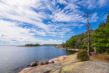 Ostseeküste mit Felsen und Bäumen bei Oskashamn in Schweden