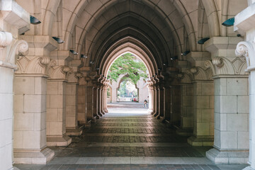 東京大学 休日の本郷キャンパス