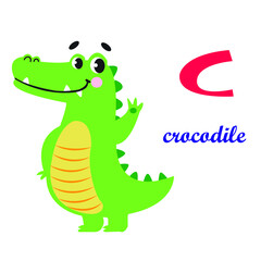 Alphabet Letter C - crocodile. Letter C of childish English alphabet. Cute kids animal for fun language learning. 