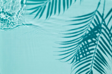 Shadow of a palm tree on a Blue water background