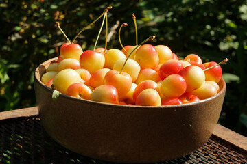 Yellow-pink cherry berries in a brown plate on a metal grid
