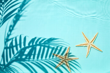 Fototapeta na wymiar Shadow of a palm tree on a Blue water background