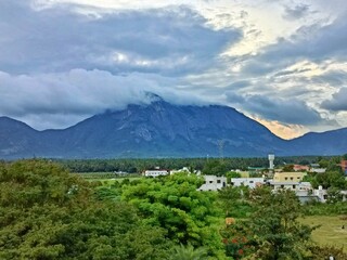 Nature Wallpaper for Mobile and Desktop