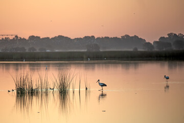 Obraz na płótnie Canvas Sunset at the lagoon