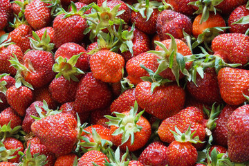 Ripe berries of garden strawberries in close-up.