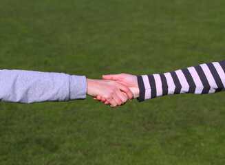 Handshake of the friends