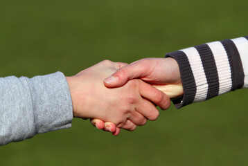 Handshake of the friends