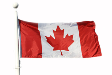 Canada flag isolated on the white
