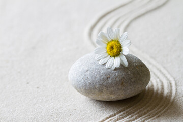 Zen background with stone, flower and lines in sand, concept relaxation, balance and harmony 