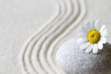 Fototapeta na wymiar Zen background with stone, flower and lines in sand, concept relaxation, balance and harmony