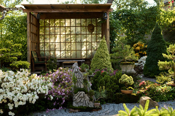 bonsai tree growing in a pot outside in a garden on a background of a gazebo