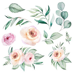Watercolor light pink flowers and leaves bouquet and single elements, illustration set