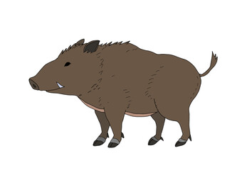 ニホンイノシシ