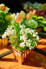 Indoor plants on the shelf in the store.