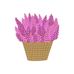 Pot with lavender or lilac flowers. Delicate purple twigs, a fluffy bouquet in a wicker basket. Colorful vector isolated illustration hand drawn
