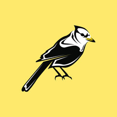 illustration of a bird