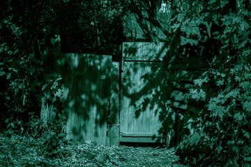 Scary mystical horror background with a door. Wooden old fence with a gate to an abandoned house overgrown with tree branches with creepy ghostly shadows and strange light.