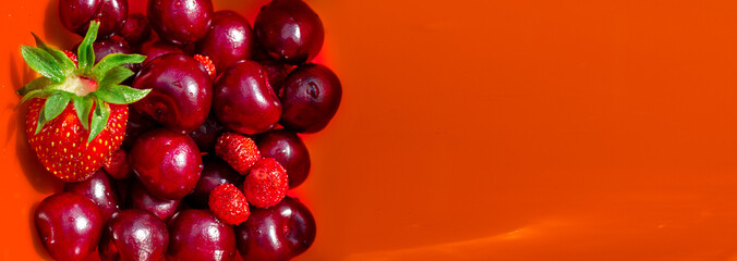Red cherries and strawberries on a red background. Banner. The concept of the harvest. Copy space
