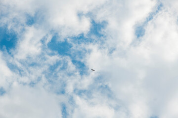 sky and clouds. blue sky and white and light gray clouds of different unexpected shapes and combinations for the background card banner postcard wallpaper