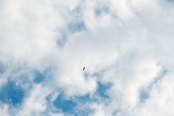 sky and clouds. blue sky and white and light gray clouds of different unexpected shapes and combinations for the background card banner postcard wallpaper