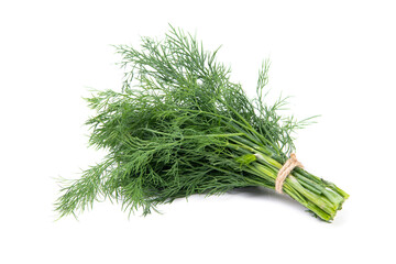Fresh green dill leaves dillweed herb isolated on white