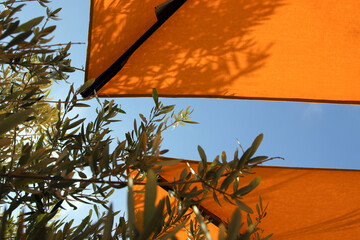 sommer unter sonnenschirmen und olivenbaum