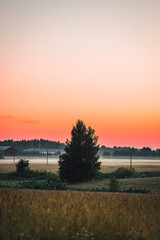 Fototapeta na wymiar Peacful countryside view during sunset time in summer, mist over the field, summer sky