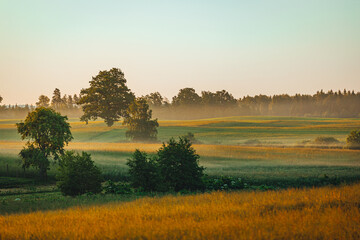 Fototapeta na wymiar Peacful countryside view during sunset time in summer, mist over the field, summer sky