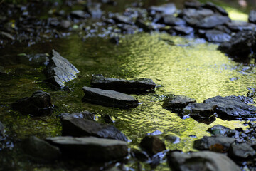 water runs between rocks through little stream in the forest