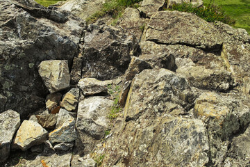 Stones. Rock background. Large stones and grass. Bush. Abstract natural background. Nature. Stone texture. Green steppe