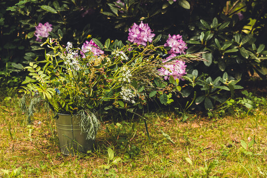 Wild midsummer meadow flowers in dark, moody day, inside an iron bucket