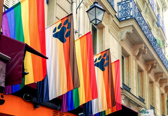 Pride rainbow lgbt gay bear flag being waved on wall background