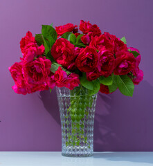 bouquet of pink roses on a lilac background