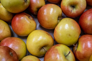 Close up of Fruit and Veg