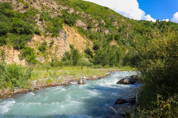 a stormy mountain river among mountains and trees