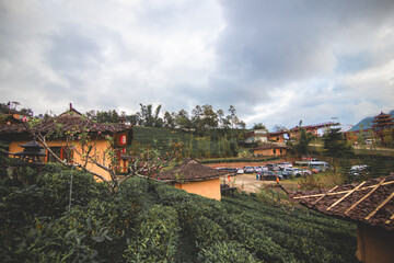 Bab Rak Thai Village, Mae Hong Son province Northern Thailand.(Chinese style cottage in tea plantation)