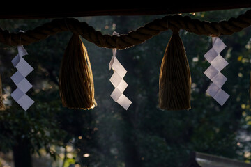 東京赤坂にある氷川神社の境内で見える光芒