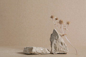 Abstract nature scene composition of stones Dried flowers, Stone podium product placement concept...
