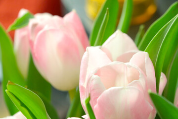 Bouquet of flowering tulips. Base with flowers. Beautiful tulips to congratulate on the holiday.