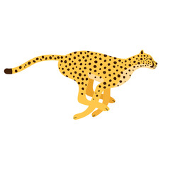 Vector flat hand drawn running cheetah isolated on white background