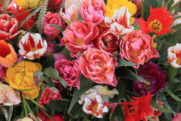 Fototapeta na wymiar Mixed spring tulips bouquet
