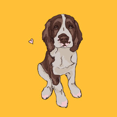 welsh springer spaniel sitting on yellow background sketch digital illustration puppy