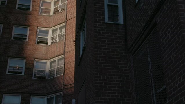 Brownsville Brooklyn Buildings. Brown Brick Housing Tower-blocks.