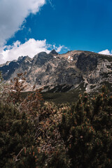 View of High Tatras mountain range near Velické pleso. 